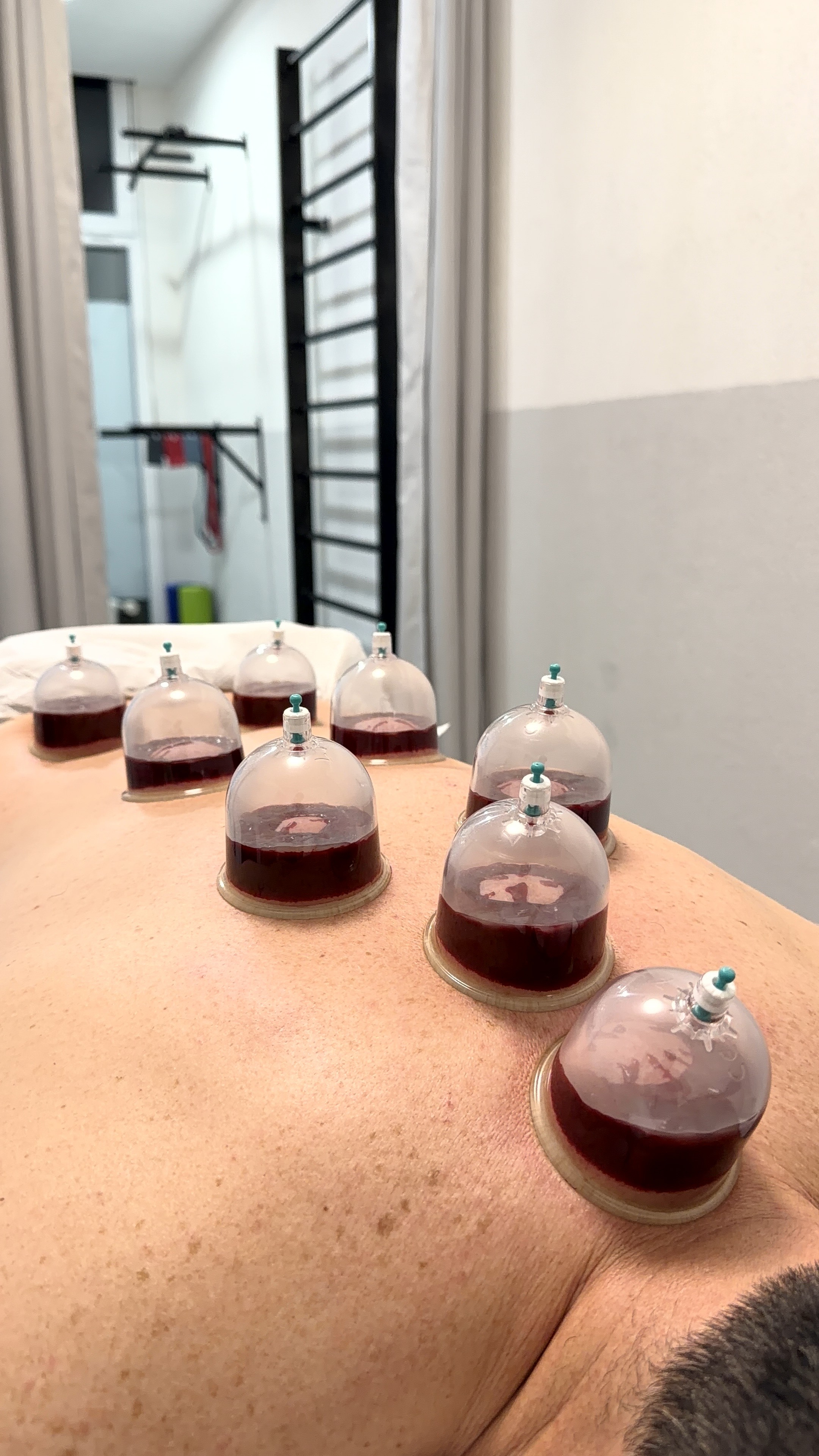 Stručna Terapeutska Usluga